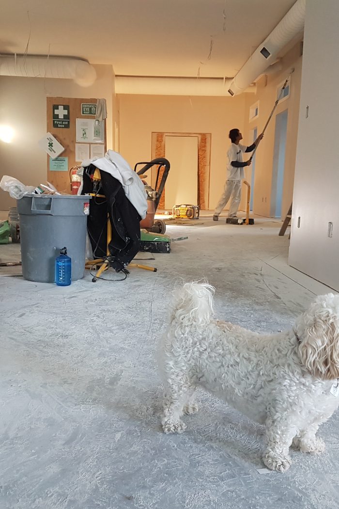 Ways To Upgrade Your House For A New Look And Feel