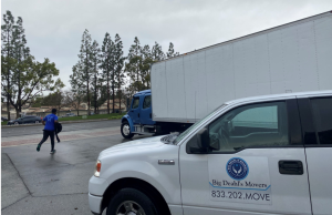 Big Deahls movers