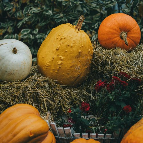 31 October blog post ideas