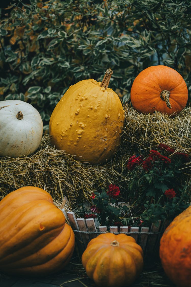 31 October blog post ideas