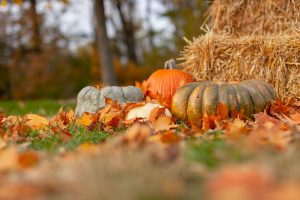 31 Blog Post Ideas For October